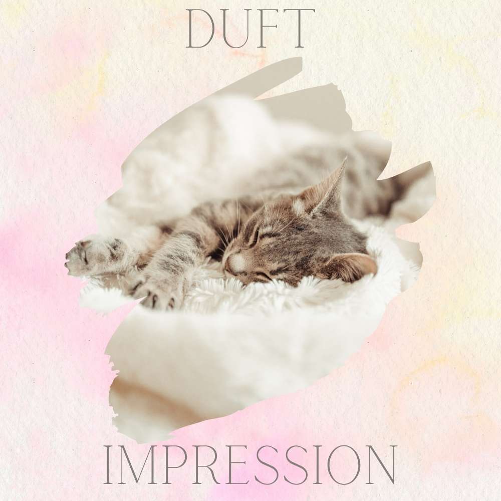 Soft Blanket · Duftwachs