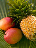 Ananas & Mango · Duftwachs · Snapbar