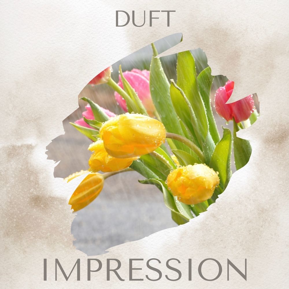 April Rain · Duftwachs 70g