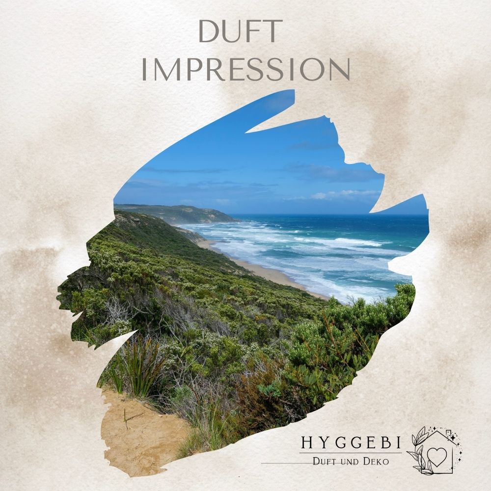 Küstenkraut · Duftkerze
