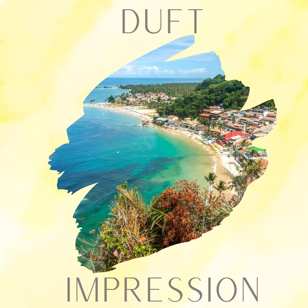 Summer in Brasil · Duftwachs Moodbox